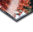 Backlit tree with fall foliage Acrylic print