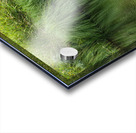 Dramatic green reflections of riverside plants Acrylic print