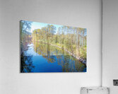 Snoqualmie River and early fall tree colors Acrylic Print