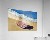 Seashell on Sand Acrylic Print