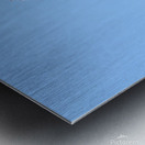 Perched hummingbird waving foot Metal print