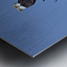 Bald Eagle Pair perfectly aligned Metal print