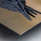 American Crow bending over for crumbs Metal print