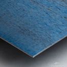 Gulls Dramatic Dive Metal print