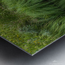 Dramatic green reflections of riverside plants Metal print