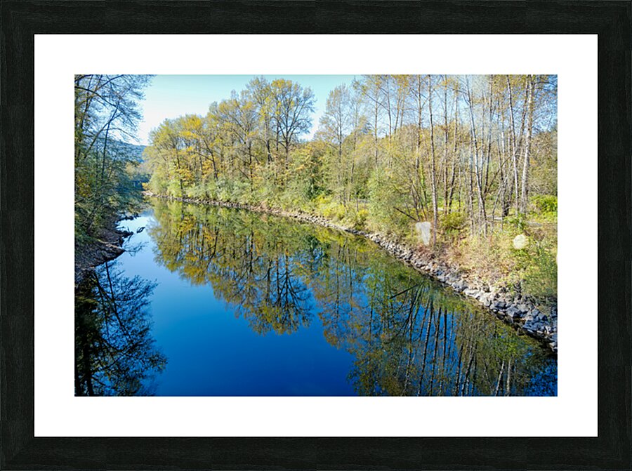 Snoqualmie River and early fall tree colors Picture Frame print