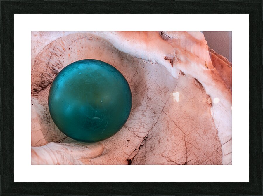 Glass float in shell Picture Frame print