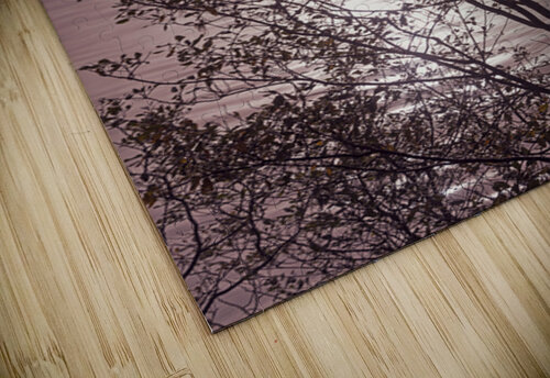 Silhouetted trees Ilwaco Harbor Lisa von Biela puzzle