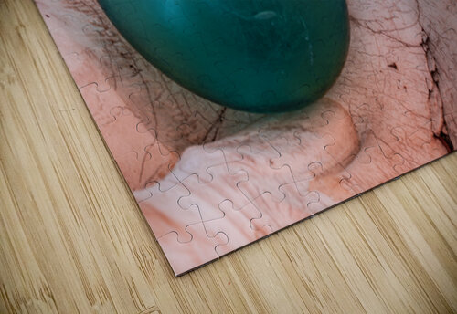 Glass float in shell Lisa von Biela puzzle