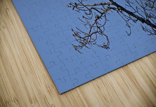 Bald Eagle Pair perfectly aligned Lisa von Biela puzzle