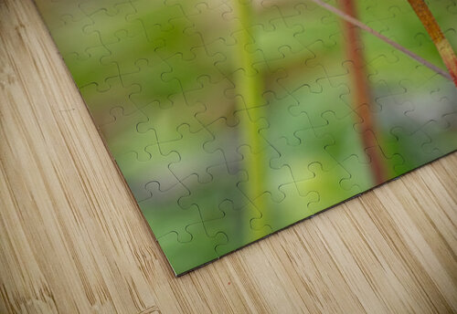 Bumblebee with pollen on head Lisa von Biela puzzle