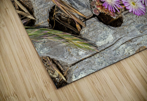 Tiny flowers in driftwood Lisa von Biela puzzle