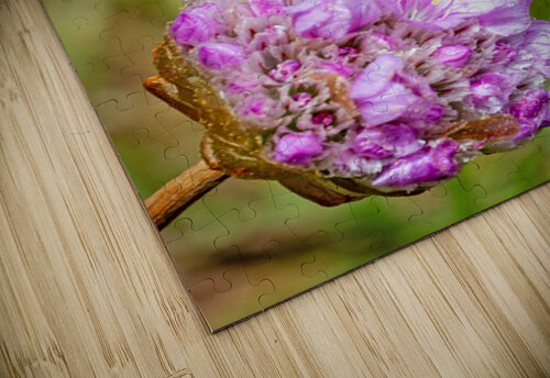 California Ringlet Butterfly Lisa von Biela puzzle