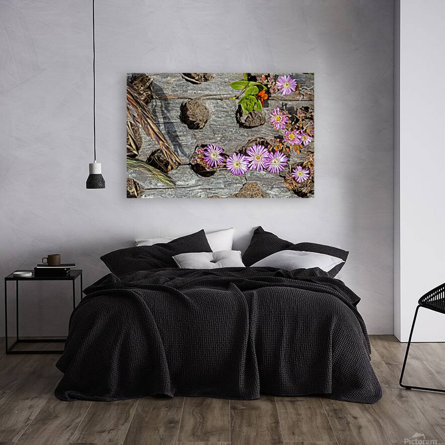 Tiny flowers in driftwood Reproduction