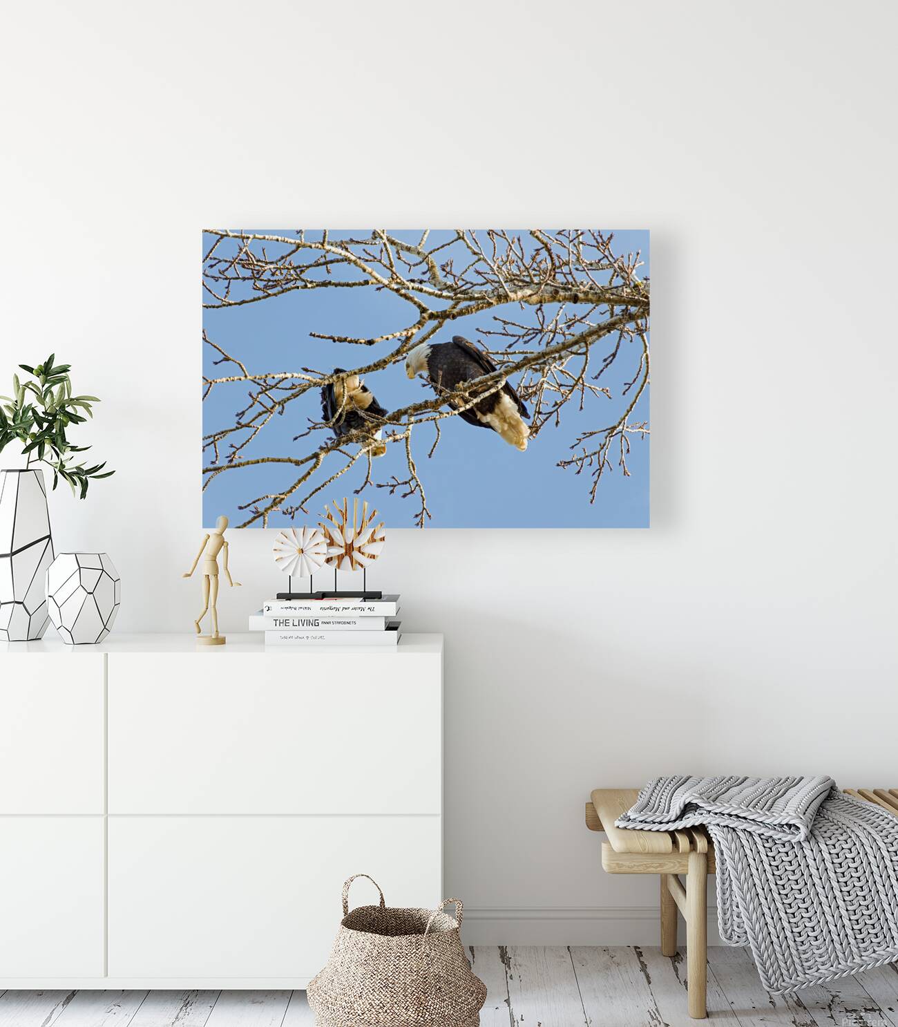 Bald Eagle pair looking into each others eyes Reproduction