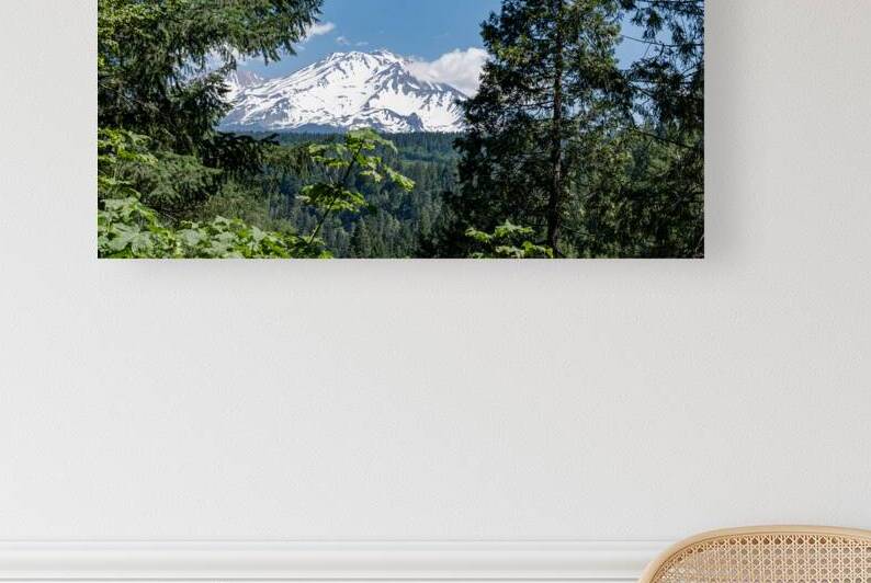 Mount Shasta framed with trees by Lisa von Biela