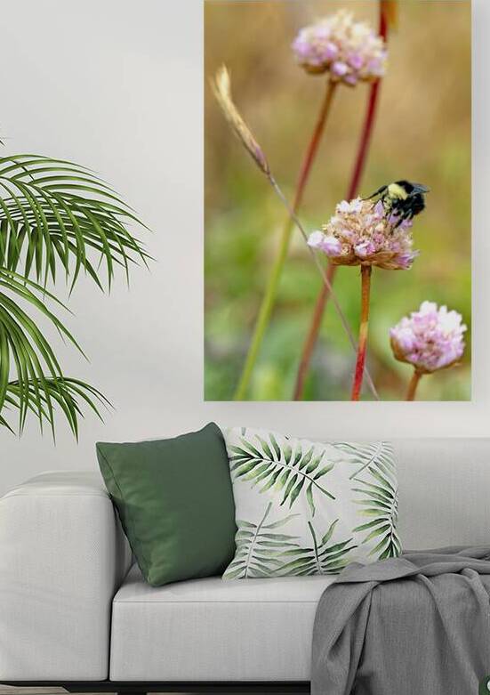 Bumblebee with pollen on head by Lisa von Biela