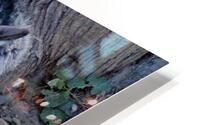 Gray Wolf resting beneath a tree HD Metal print