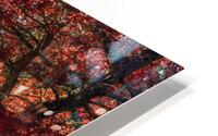 Backlit tree with fall foliage HD Metal print