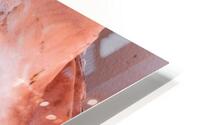 Glass float in shell HD Metal print