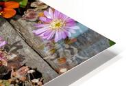 Tiny flowers in driftwood HD Metal print
