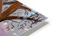 Winter trees HD Metal print