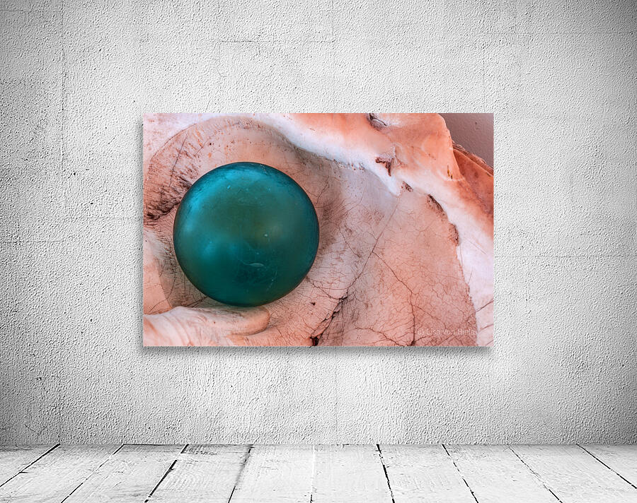 Glass float in shell Wall Preview
