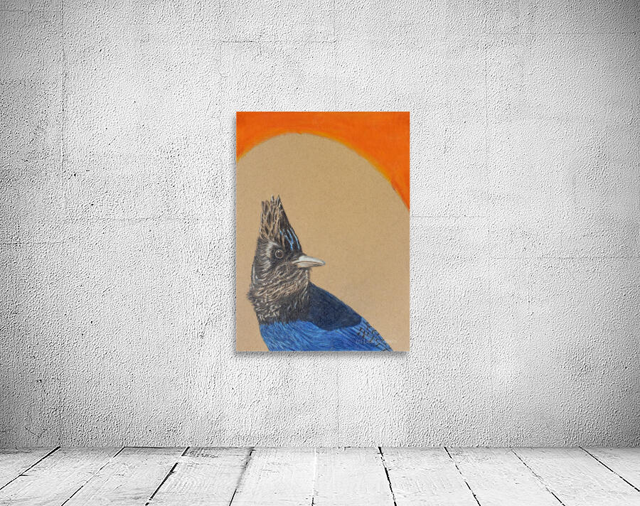Blue Jay Wall Preview
