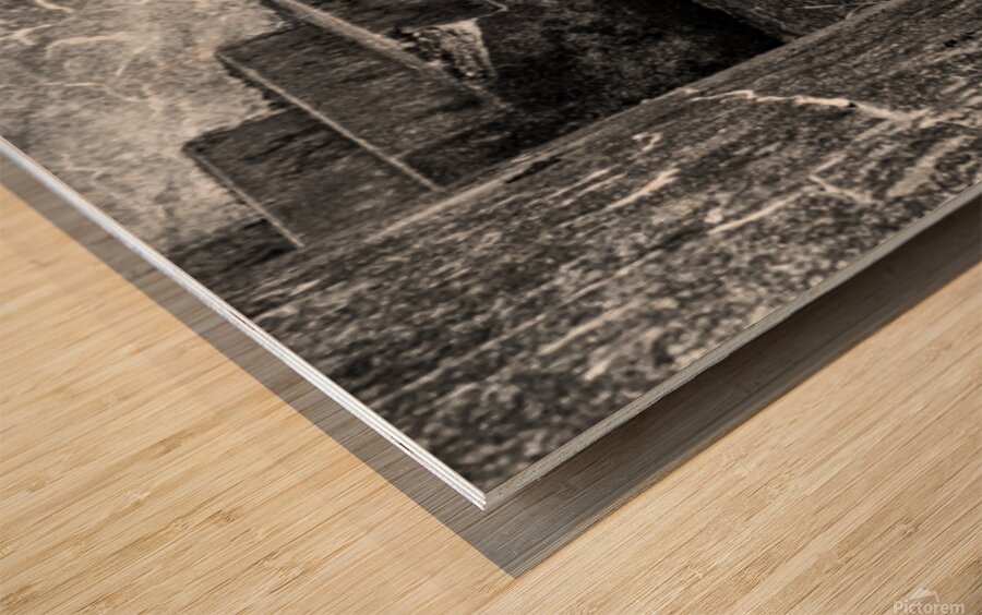 Cape Disappointment Battery 247 steps in B&W Wood print