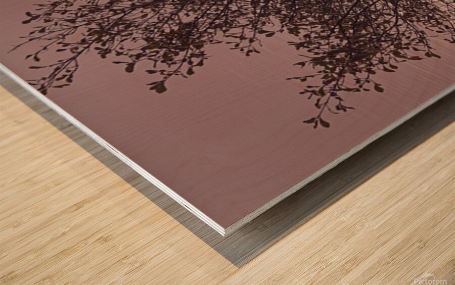 Silhouetted trees Ilwaco Harbor Wood print