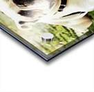 1980s bully mascot art  Acrylic print