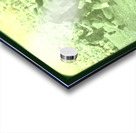 1936 Baylor Bears vs. Texas Longhorns Acrylic print