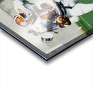 1984 Clemson Tigers Football Art Acrylic print