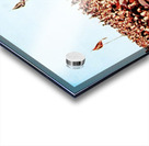 1963 western michigan football gameday Acrylic print