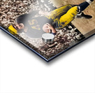 1945 Michigan Wolverines Football Art Acrylic print