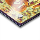 mike eppley clemson football art Acrylic print