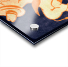 Vintage Texas Western Burro Mascot Art Acrylic print