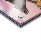 Black American Wolf Acrylic print