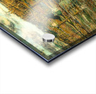 Sunlight on the Harlem River  Acrylic print