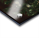 1876 Roses And Myrtles  Acrylic print