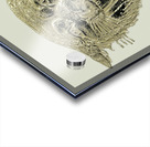 vintage wildcat mascot art reproduction Acrylic print