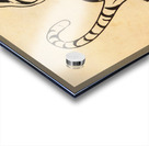 1960s Tiger Art Acrylic print