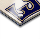 Vintage East Tennessee Bucs Art Acrylic print