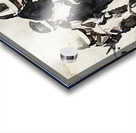 Race to Win: 1974 Horse Racing Art Acrylic print