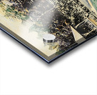 1919 penn state baseball Acrylic print