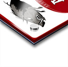 1957 Arkansas Razorbacks Art Acrylic print