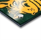 1955 California State Polytechnic Art  Acrylic print