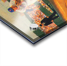 Fenway Park Boston Red Sox Art_Red Sox Posters Acrylic print