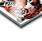 1964 Detroit Tigers Art Acrylic print