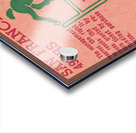 1949 Baltimore Colts vs. San Francisco 49ers Acrylic print